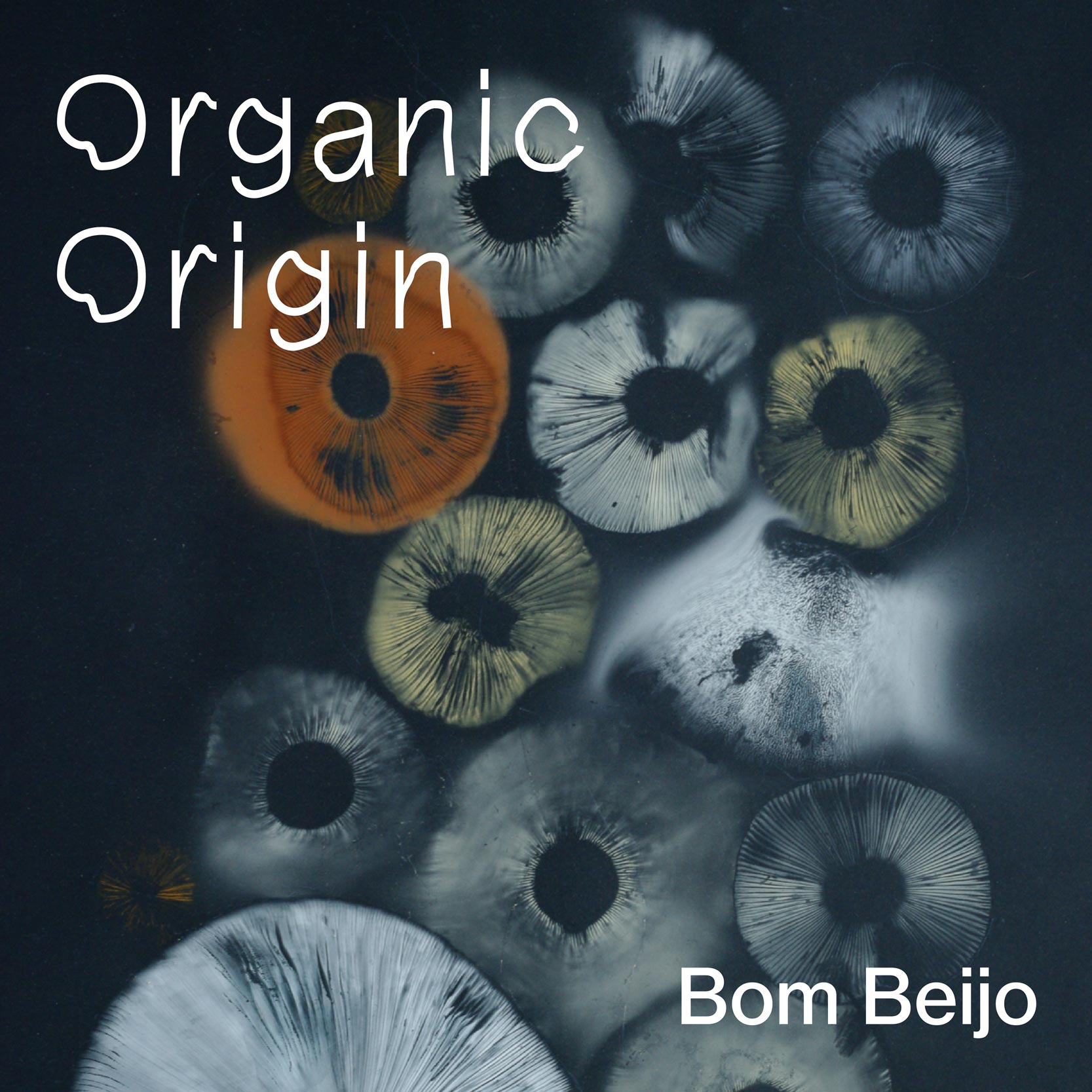 Album cover for the album Organic Origin by Bom Beijo